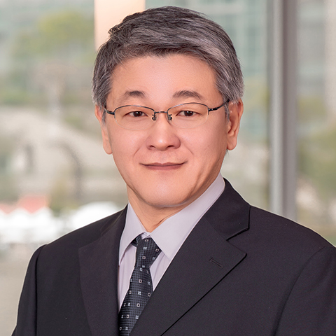 patent attorney search